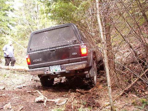 1985 Ford Bronco - Lots of fallen trees from the recent storms.
