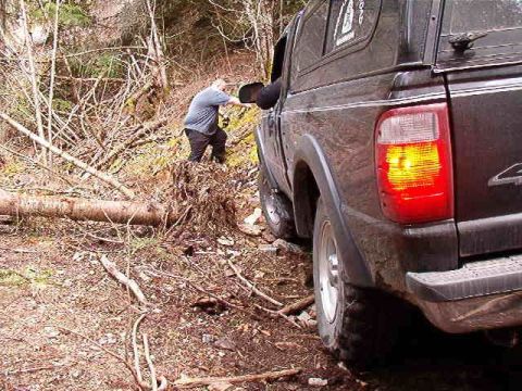 1985 Ford Bronco - A person in a blue shirt and dark pants is pushing on a fallen tree next to a black pickup truck. The truck is parked on a dirt path in a w…