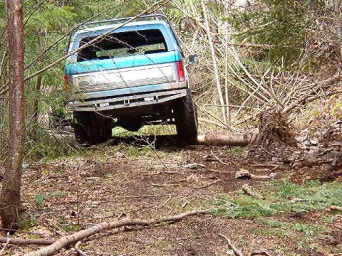 1985 Ford Bronco - The rear passenger side of a blue Ford Bronco is shown angled towards the right, partially obscured by trees and brush. The vehicle is off-…