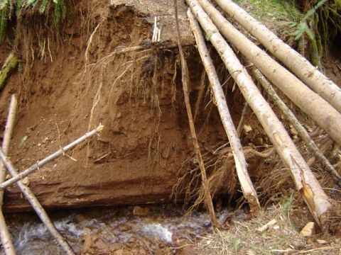 1985 Ford Bronco - A steep, eroded embankment with exposed tree roots and a small stream flowing at the bottom. Several fallen logs are propped against the em…
