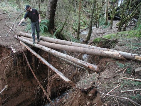 1985 Ford Bronco - A person stands on a makeshift bridge of logs spanning a small ravine in a wooded area.