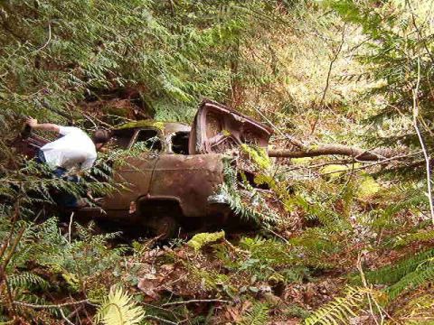 1985 Ford Bronco - We noticed this old wreck off the side of the trail.