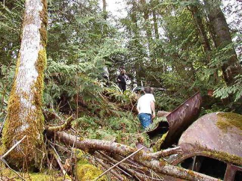 1985 Ford Bronco - A rusty, partially submerged vehicle is overgrown with moss and vegetation in a dense forest. Two people are visible in the background, wal…