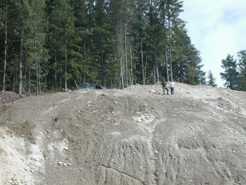 1985 Ford Bronco - A silver SUV is partially submerged in a dirt embankment with a forest in the background. Two people stand on the crest of the embankment t…