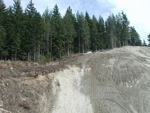 1985 Ford Bronco - A light-colored SUV is parked on a steep, eroded dirt slope with a dense forest in the background.