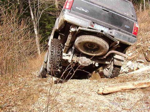 1985 Ford Bronco - The rear of a dark-colored SUV is tilted precariously on a steep, wooded embankment. The vehicle's undercarriage and spare tire are visible…