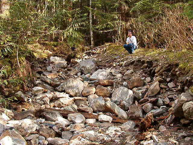 Person squatting on a mossy embankment in a rocky, wooded area.
