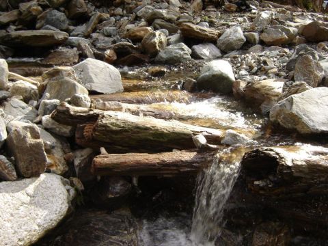 1985 Ford Bronco - A small stream flows over rocks and fallen logs in a natural setting.
