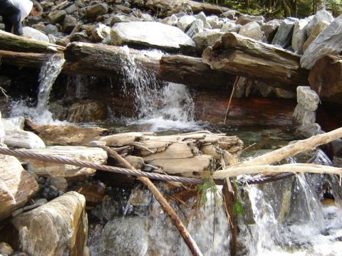 1985 Ford Bronco - A natural scene of a rocky stream with fallen logs and flowing water. A person is partially visible in the upper left corner.