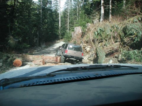 1985 Ford Bronco - Back on the new road. There were lots of fallen trees and small slides.