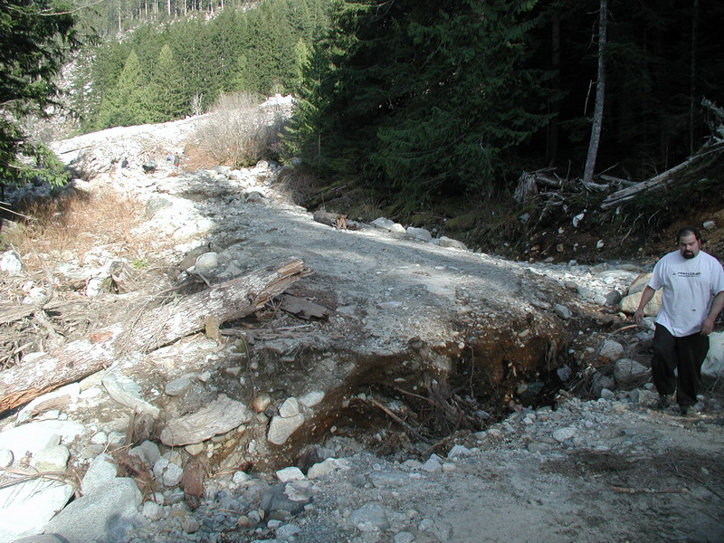 A man walks on a damaged dirt road in a wooded area.