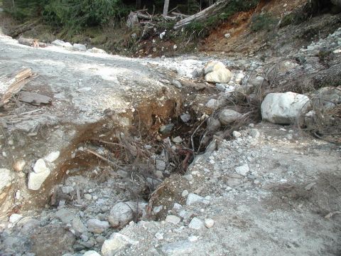 1985 Ford Bronco - A washed-out dirt road with large rocks and exposed tree roots.