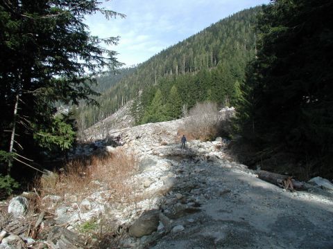 1985 Ford Bronco - A person walks on a rocky, debris-strewn path leading into a forested mountain valley. The scene is dominated by trees, rocks, and a clear…