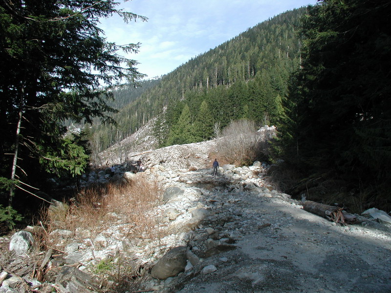 Person walking on a rocky path in a forested mountain valley.
