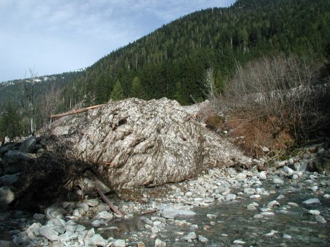 1985 Ford Bronco - I'm thinking that this could take years to melt enough to be passable.