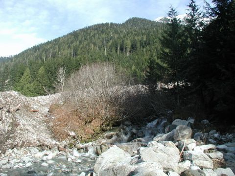 1985 Ford Bronco - A rocky stream flows through a forest with a snow-covered mountain in the background.
