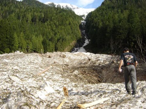 1985 Ford Bronco - A person walks through a large snow and debris field at the base of a forested mountain with a snowy peak.