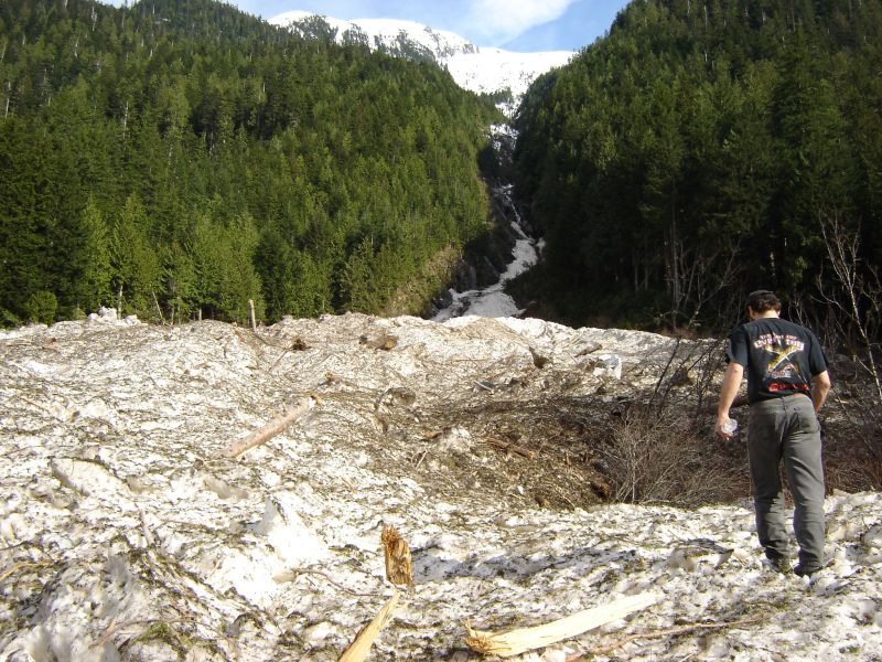 A person walks through a large snow and debris field at the base of a forested mountain.