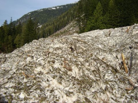 1985 Ford Bronco - A large avalanche has covered a mountainside with snow and debris, including tree branches and logs. The snow is packed and uneven, with so…