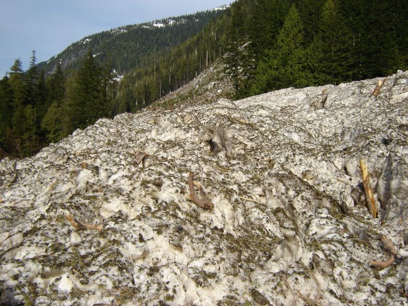 Avalanche debris covering a mountainside with snow, branches, and logs.