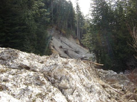 1985 Ford Bronco - A landslide has occurred on a forested mountainside, with a large pile of snow and debris in the foreground.