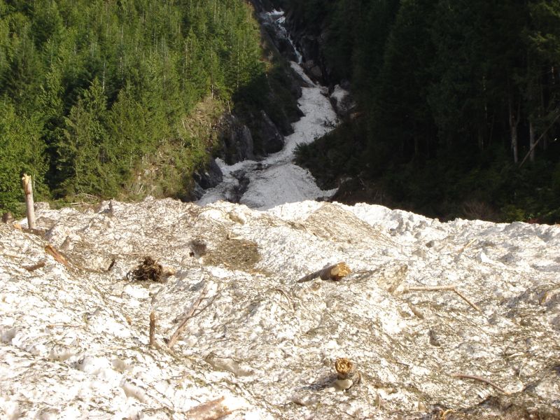 Snow-covered mountainside with forest and debris.
