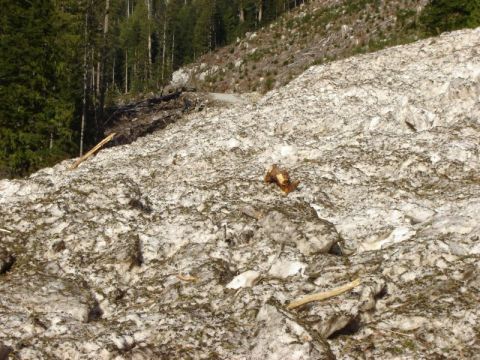 1985 Ford Bronco - A large pile of snow and debris covers a mountainside, with trees visible in the background.
