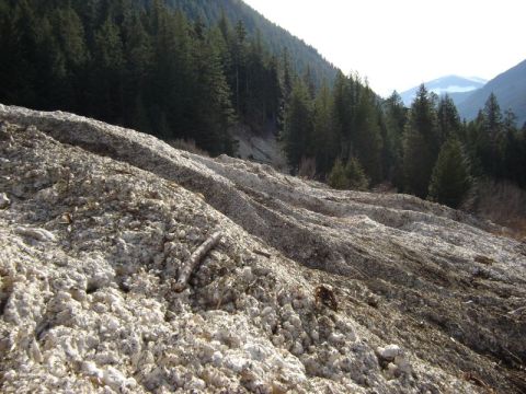 1985 Ford Bronco - A landslide of snow and debris covers a steep mountainside with a dense forest in the background.