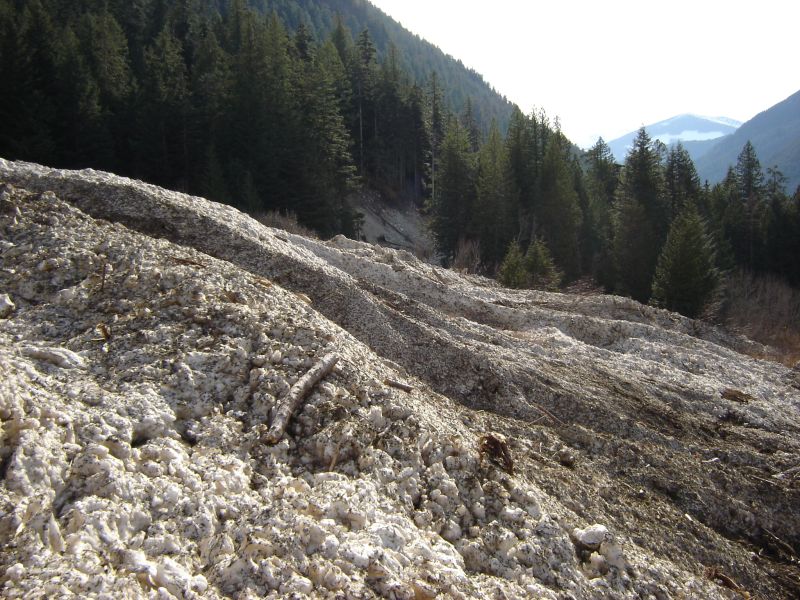 Snow and debris landslide on a mountainside with a forest.