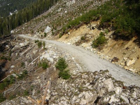 1985 Ford Bronco - A dirt road winds up a steep, rocky, and deforested mountainside. Scattered trees and debris litter the slope, with patches of snow visible…