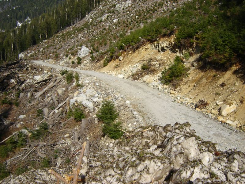Dirt road on a steep, rocky, deforested mountainside with scattered trees and snow.