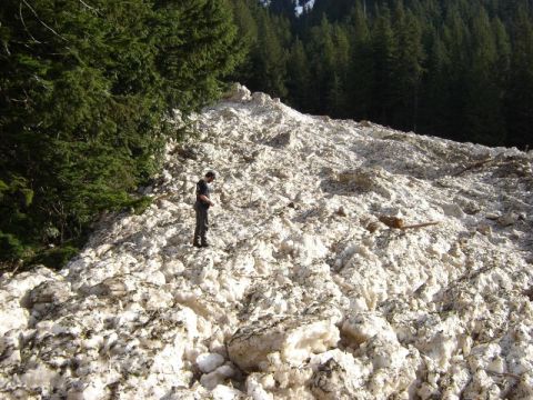 1985 Ford Bronco - A person stands on a large pile of snow and debris, with a dense forest in the background.