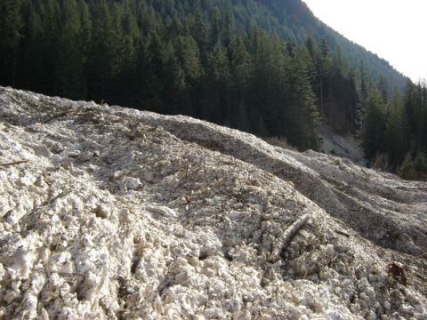 1985 Ford Bronco - A landslide of snow and debris covers a forested mountainside.
