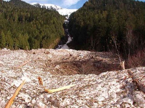 1985 Ford Bronco - A wide shot of a snow-covered mountainside with a path of debris leading down from the snow-capped peak. Dense evergreen trees line the slo…