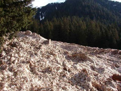 1985 Ford Bronco - A landslide has occurred on a forested mountainside, with a large pile of debris in the foreground.