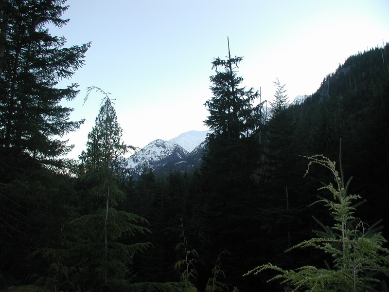 This was taken from the bridge that is the start of Kookipi Creek FSR.