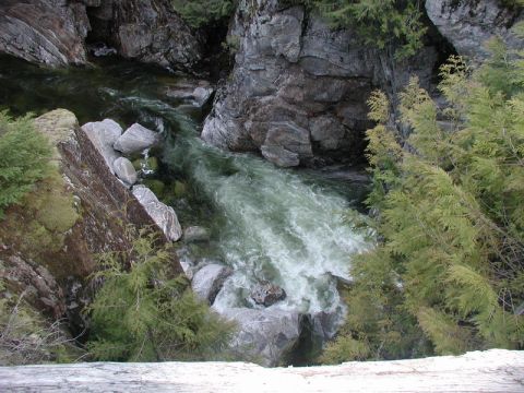 1985 Ford Bronco - A fast-moving river flows through a rocky gorge, with evergreen trees on the banks.