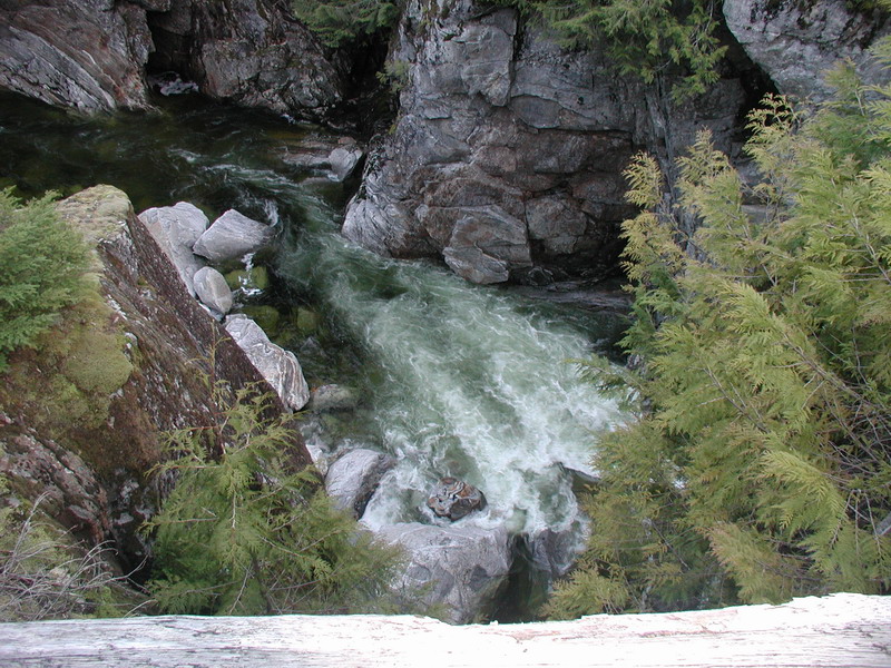 River flowing through a rocky gorge with evergreen trees.