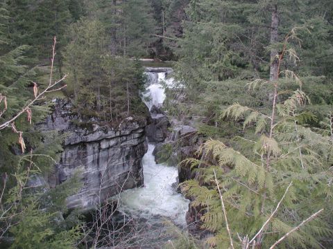 1985 Ford Bronco - A powerful waterfall cascades down a rocky gorge surrounded by dense evergreen forest.
