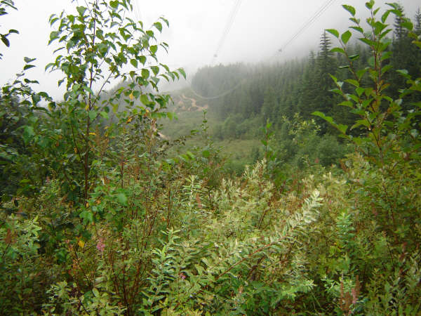 Heading up to follow the power lines.