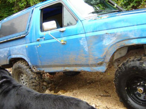 1985 Ford Bronco - A blue Ford Bronco with mud splattered on its side is parked on a dirt road. The front passenger side of the vehicle and a large black dog…