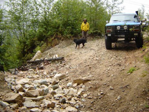1985 Ford Bronco - A blue 1985 Ford Bronco is parked on a dirt road next to a person and a black dog. The vehicle is modified with off-road tires and lights.