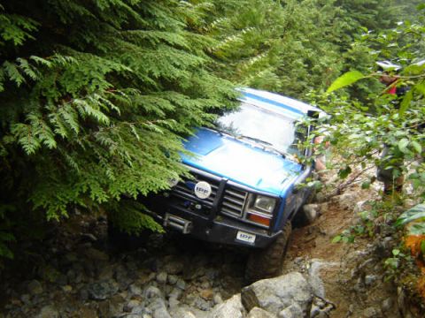 1985 Ford Bronco - A blue off-road vehicle navigates a rocky, wooded trail, with its front end angled towards the camera and partially obscured by dense green…