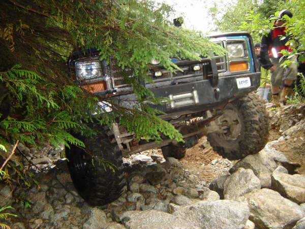 Blue off-road SUV on a rocky trail, branches obscuring front.