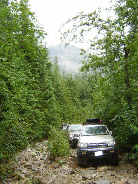 1985 Ford Bronco - Several SUVs drive down a rocky, wooded trail with dense green foliage on either side. The lead SUV is silver with a black bumper and roof…