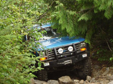 1985 Ford Bronco - A blue 1985 Ford Bronco is navigating a rocky, wooded trail, with branches obscuring parts of the vehicle. The front of the SUV features a…