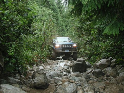 1985 Ford Bronco - A blue Ford Bronco navigates a rocky, overgrown trail surrounded by dense green foliage and tall trees.
