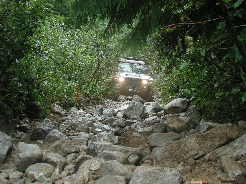 White Hummer H1 driving on a rocky, overgrown forest trail.