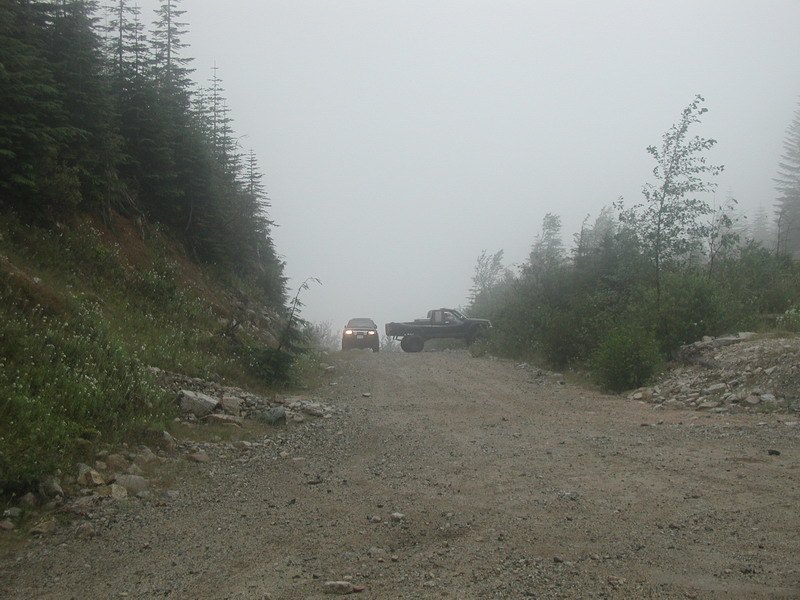 A dark SUV and a pickup truck on a foggy gravel road in a forest.