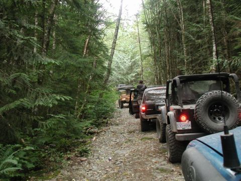 1985 Ford Bronco - A line of off-road vehicles, including several Jeeps and a dark SUV, drive down a rocky, wooded trail. The lead vehicle in the foreground i…